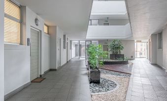 Kmg Apartments at the Apex