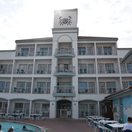 Sand Rose Beach Resort