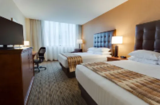 دروري بلازا هوتل سانت لويس آت ذا أرك فنادق في 