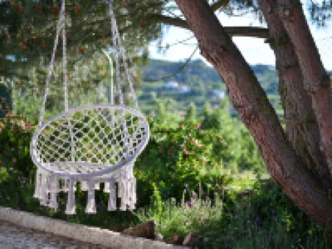 Feel Discovery Maçã Douro Hotels in Armamar