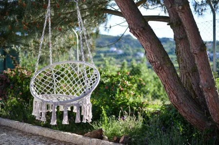 Feel Discovery Maçã Douro Отели в г. Армамар