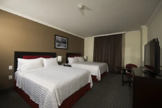 墨西哥城佩裏諾特温德姆華美達酒店