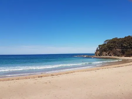 Stroll to beach and Mangrove walk Fisherman's paradise Отели рядом с достопримечательностью «Treasures from the Deep Opal and Shell Museum»