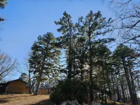 Serene Acres with Fire Pit and Jetted Tub - Charming Cozy Retreat Hotels in Township 1