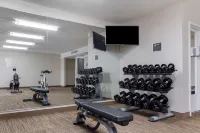 舒適飯店-達拉姆大學查普希爾 - 健身房