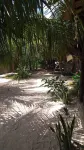 Beach Chalet Preá