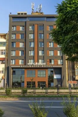 GÜRSOY Exclusive Hotel Hotels in Arsin