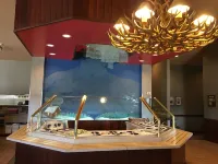 Young's Motel Hotels in Tok