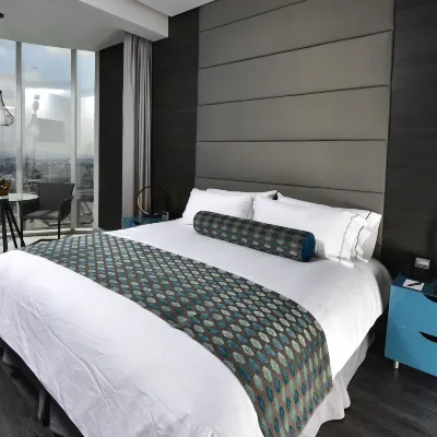 Baruk Guadalajara Hotel de Autor Hotels near Zona Expo