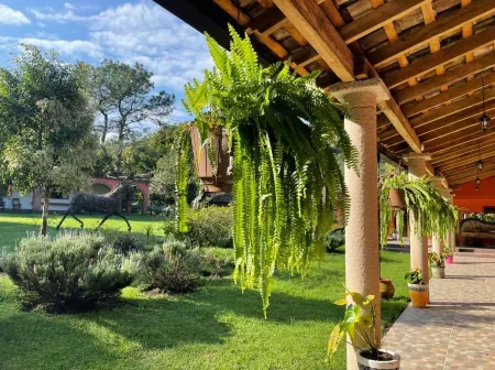 Hotel Boutique Finca de la Niebla Coatepec Отели в г. Las Vigas de Ramirez