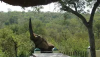 Muweti Bush Lodge فنادق في فالابوروا