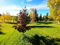 Northern Sky Lodge Hotel di 