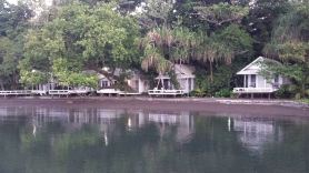 Driftwood Resort