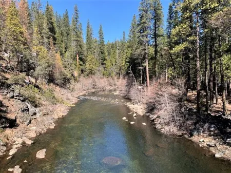 The Sugar Pine Chalet