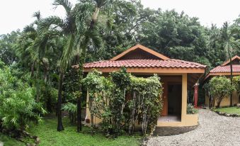 Hotel Ritmo Tropical - Pool and Breakfast