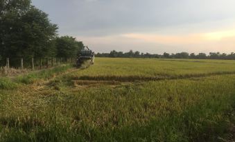 Baan Suan View Dee Homestay