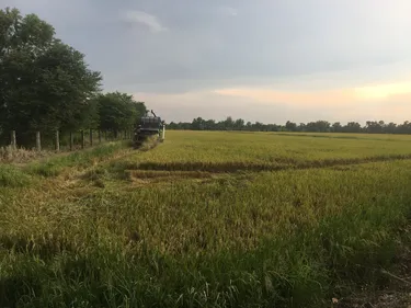 รูปภาพของบ้านสวนวิวดีโฮมสเตย์ Baansuanviewdee Homestay