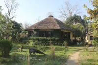 Rhino Lodge Bardia Pvt Ltd Hoteles cerca de Birat Purush Darshan