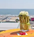 Hotel Bristol - con vista mare