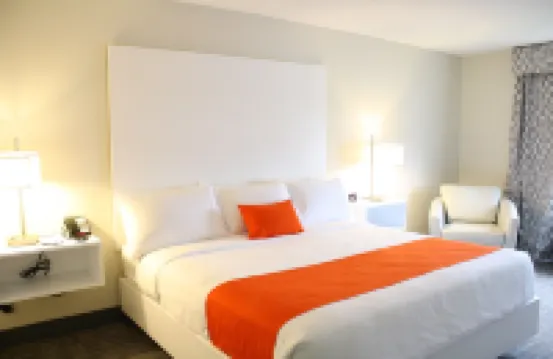 Schoenbrunn Inn Hotels in Dover