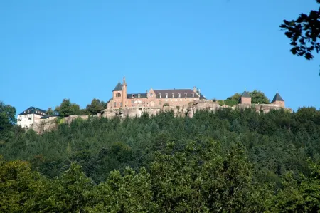 Hotel des Vosges Отели в г. Элиженбер
