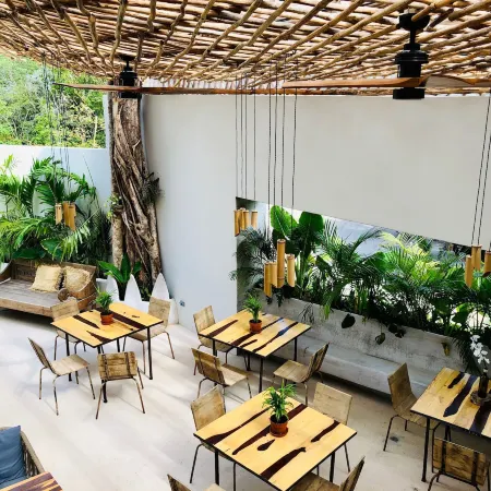 Orchid House Tulum Jungle