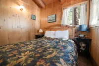 Owl Cabin Hotels in Fawnskin