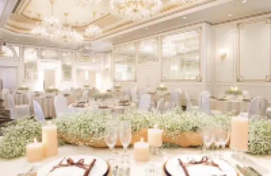 Shin Yokohama Grace Hotel