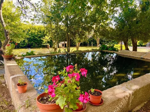 Quinta da Cumieira - Pet friendly