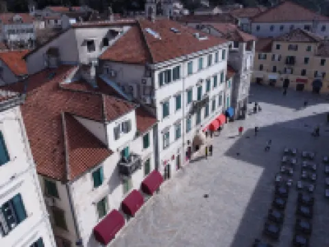 Kotor Nest