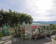 5-guest Apartment in Imperian Olive Grove - Apartments