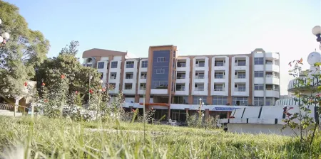 Atse Yohannes Hotel Отели в г. Макэйл