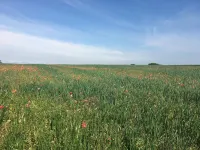 The Old Posthouse B&B Hotels in West Lindsey District