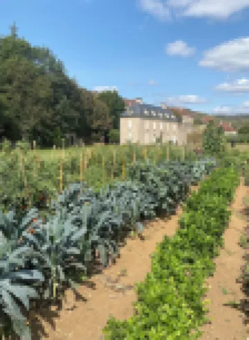 Noubar - 4 stjerner