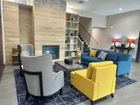 Comfort Inn & Suites Cartersville - Emerson Lake Point - Pet Friendly