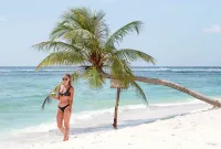 Palm Gate Maldives - Ocean View