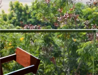 The Sky Imperial Aarivaa Luxury Stays