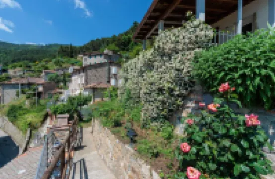 Cottage Gigi in Ruota