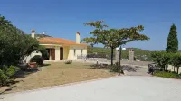 Villa Politimi Aegina - Villas