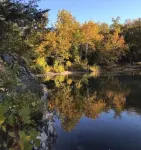 Peaceful Waterfall House -- 2 bedroom hidden treasure