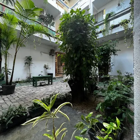 Ventos do Norte