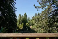 Peaceful Berkeley Hills Studio - Bay View + Private Deck + Prime Location