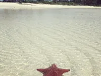 Second Wind - Atlantic Views - Just Steps to Beach! Hotels in Elbow Cay