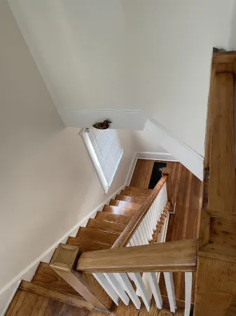 Cozy Craftsman Close to Everything