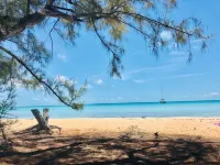 Ting'um  is the Spot to Stay on BANKS ROAD Hotel a North Palmetto Point