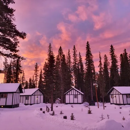 Luxury Stargazer Cottage - The Deer Den