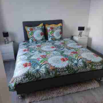 Newly renovated apartment in manor house, very close to town center Rooms