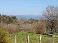 Gîte de la Vigne Vierge