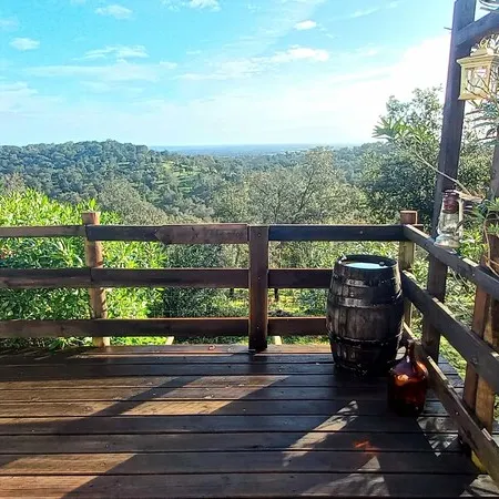 Nature of well-being
