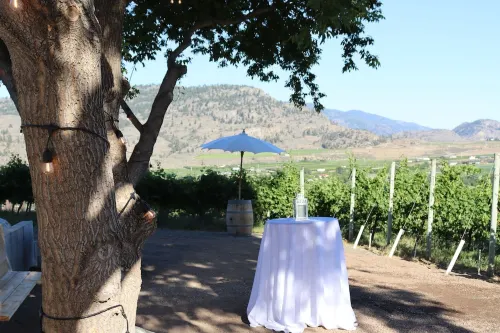 Oliver Oasis, Merlot - Vineyard home with great pool, hot tub & views for days!